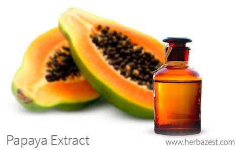 Papaya Extract | HerbaZest