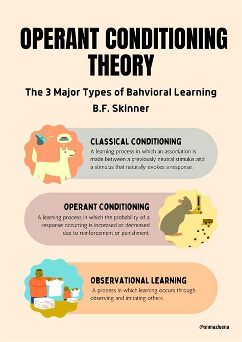 Skinner s operant conditioning theory – Artofit