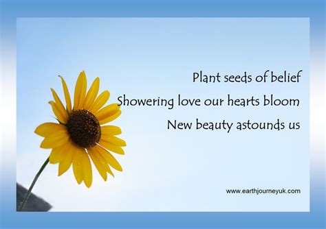 Haiku - Self belief | Planting seeds, Beliefs, Haiku