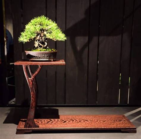 Exquisite Bonsai Stands & a Chance Worth Taking | Bonsai Bark