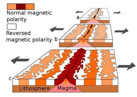 Paleomagnetism - Wikipedia | Placa tectônica, Expansão dos fundos oceânicos, Formas de relevo