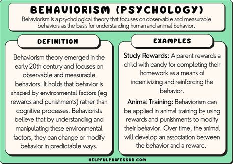 17 Behaviorism Examples (2024)