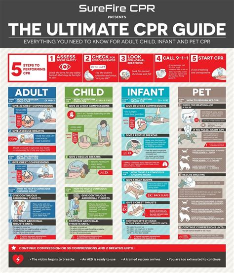 20 best CPR cheat sheet images on Pinterest | First aid kid, Cardiopulmonary resuscitation and ...