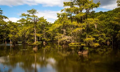 How Many Natural Lakes are in Texas? - Wiki Point