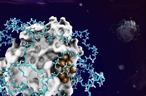 Hybrid enzyme catalysts synthesized by a de novo approach for expanding biocatalysis