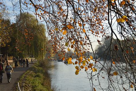 Tree,river,autumn,nature,landscape - free image from needpix.com