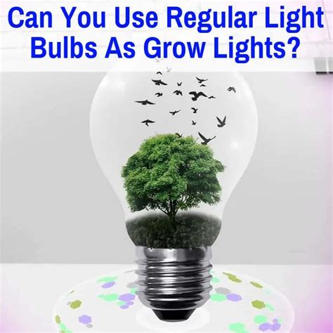 Can You Use Regular Light Bulbs As Grow Lights?