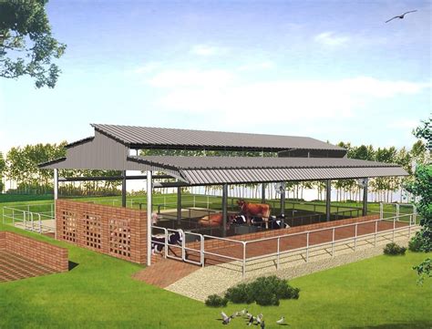 MODERN CATTLE SHEDS, PUNJAB | Farm shed, Cow shed, Cow shed design