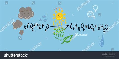 Photosynthesis Equation For Kids