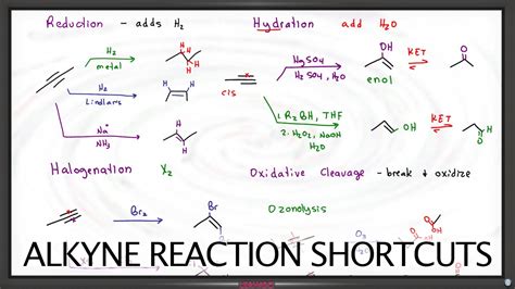 What Is The Likely Product Of The Following Reaction? Update New ...