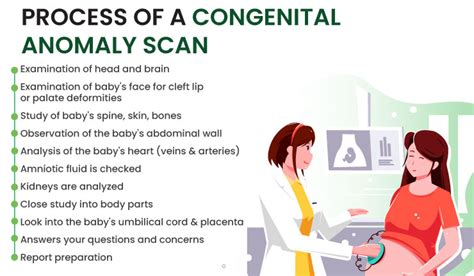 The Ultimate Guide to Fetal Anomaly Scan in 2023