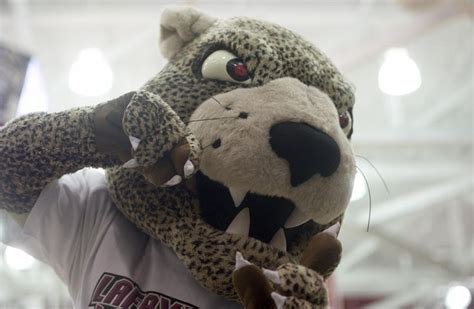 Lafayette Leopards mascot, The Leopard. | Mascot, Lafayette college ...