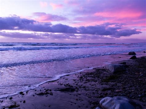 Carlsbad Beaches Ranked Among Cleanest In State | Carlsbad, CA Patch