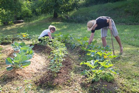 Design a Permaculture Garden: The 12 Principles To Follow