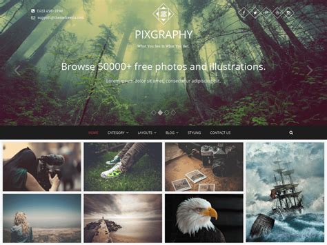 Best Free Photography WordPress Themes 2021 - Theme Freesia