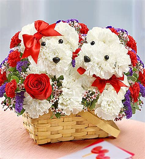 17 Beautiful Flower Arrangements For Dog Lovers