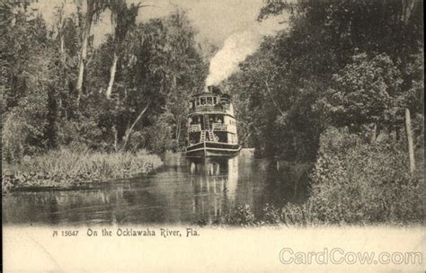 On the Ocklawaha River Florida