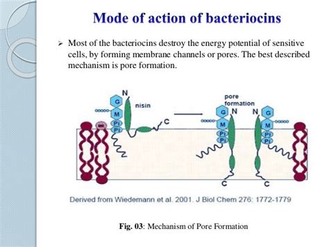 Bacteriocins