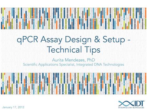 Design PCR and qPCR primers with the PrimerQuest tool