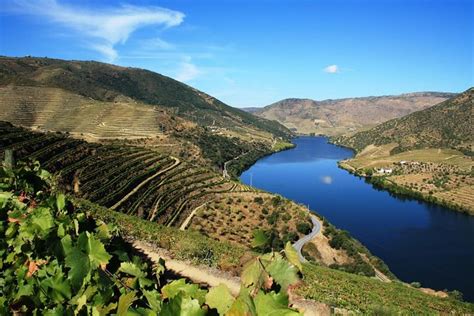 Douro Valley with Wine Tastings and Lunch from Porto 2024