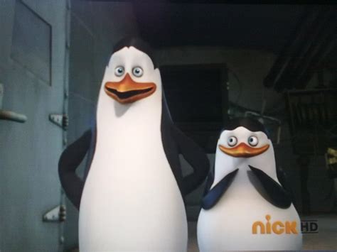 Kowalski and Private - Penguins of Madagascar Photo (30625728) - Fanpop