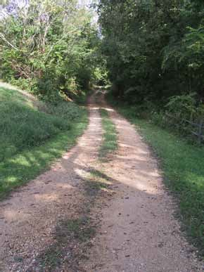 Old Trace @ The Tobacco Farm, Natchez Trace