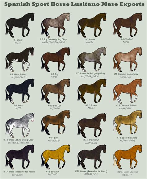 Lusitano Mare Exports by JNFerrigno Caballos Imagenes, Pintar, Cartel, Razas De Caballos ...