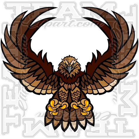 Falcon Wings Image. Modifiable Vector Format.