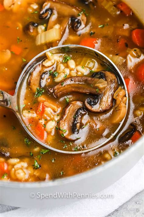 Beef Mushroom Barley Soup Slow Cooker Recipe | Deporecipe.co