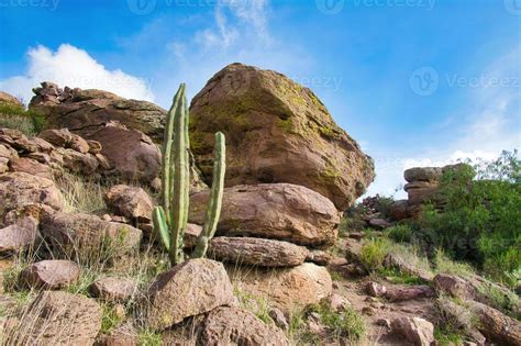 Mexican desert landscape with stones and cactus to background 12217527 Stock Photo at Vecteezy