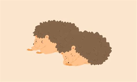 What Is The Hedgehog Dilemma?