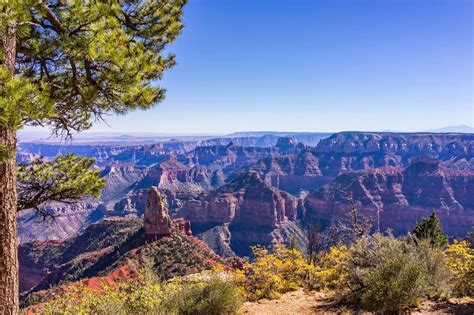 Coconino National Forest