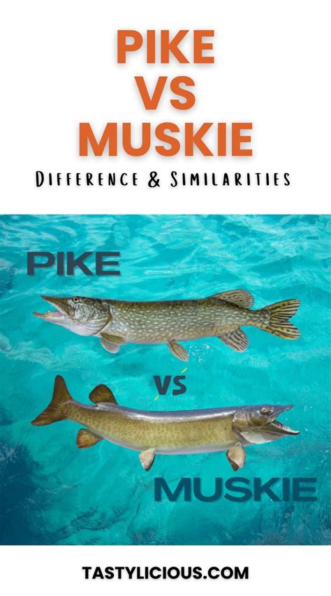 Pike vs Muskie | Tastylicious!