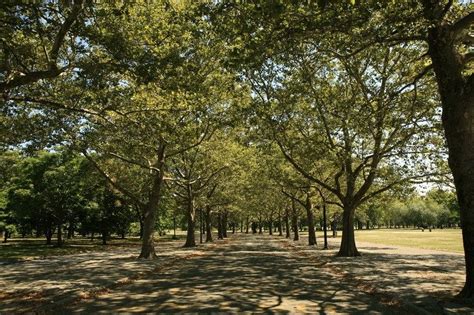 Flushing Meadows Corona Park : NYC Parks