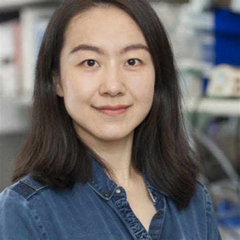 Wenjing SU | PhD | Memorial Sloan Kettering Cancer Center, New York City | MSKCC | Division of ...