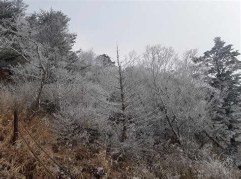 Korea in Photos: Frost Brings Signs of Winter to Jirisan Mountain