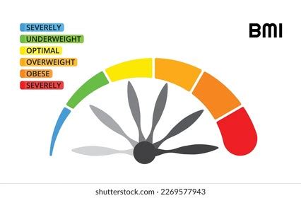 Bmi Categories Chart Body Mass Index Stock Vector (Royalty Free ...