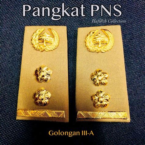 Jual Pangkat PNS golongan 3 di Lapak Daffa_Collection | Bukalapak