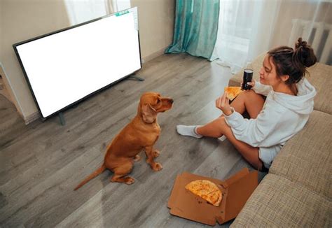 Do Dogs Like To Watch TV & Do They Understand The Concept Of It? | World Dog Finder