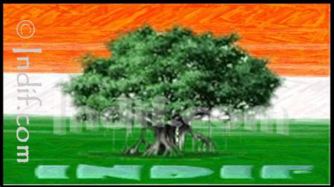 The National Tree of India, Indian National Tree, Banyan Tree