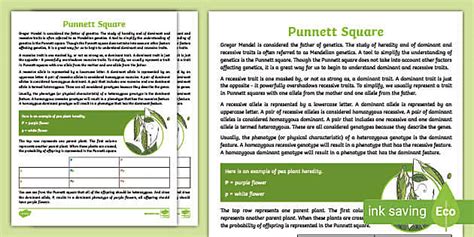 Punnett Square Practice Worksheet & Answers - Life Science - Worksheets Library