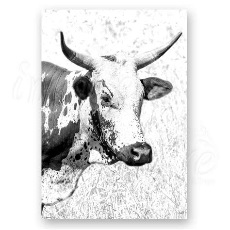 Canvas - Black and White Nguni (1) - Inspire Online Shop