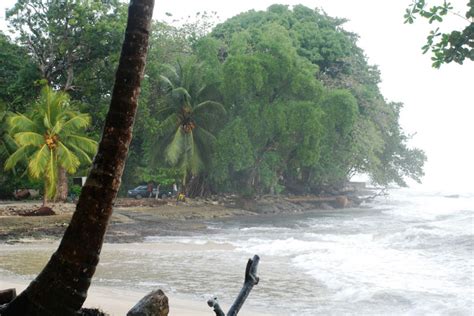 Cahuita National Park - Park Nacional Cahuita