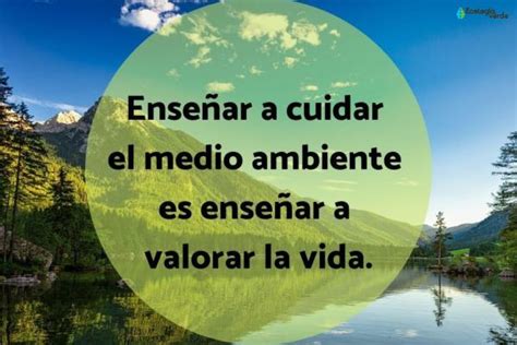 Total 65+ imagen frases motivadoras para cuidar el ambiente - Abzlocal.mx