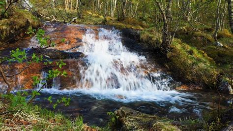 Sound of a small waterfall in the spring forest