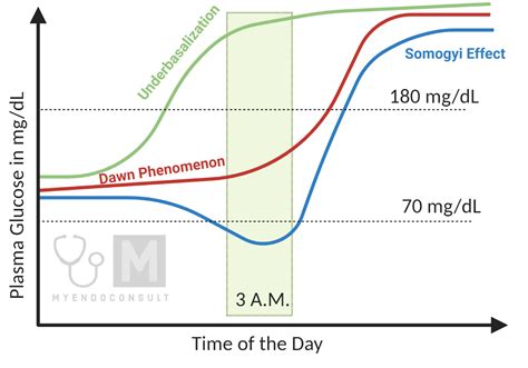 Somogyi Effect vs. Dawn Phenomenon : A Comprehensive Guide - My Endo Consult