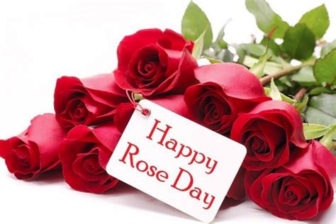 100+ Happy Rose Day GIFs, 3D Pics 2024 Download for GF & BF