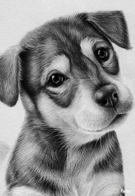 a bundle of love | Realistic drawings, Animal drawings, Pencil drawings