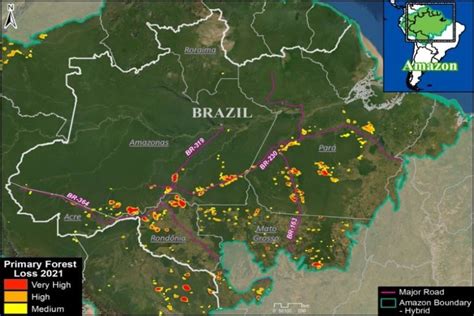 2021 Amazon deforestation map shows devastating impact of ranching ...