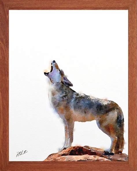 Coyote painting wildlife watercolour wildlife wall art